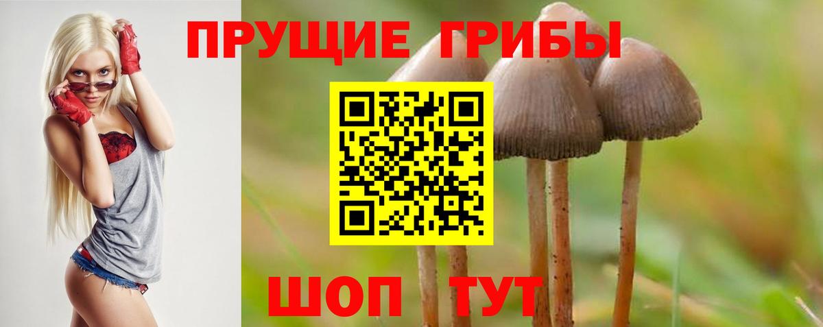 Псилоцибиновые грибы Psilocybe  Вход с VPN  купить наркотики цена  Карпинск 