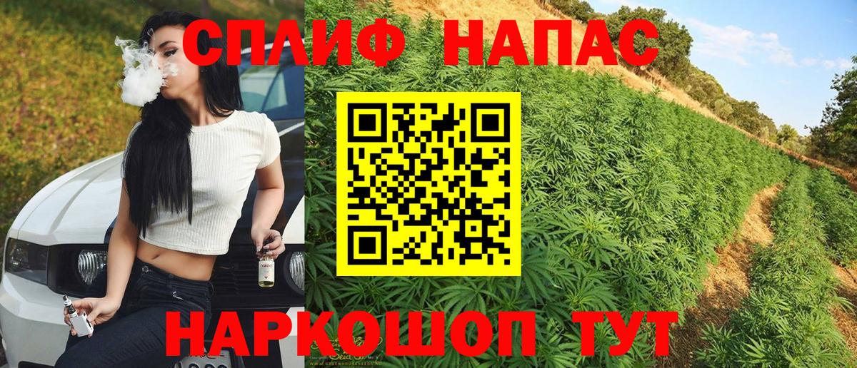 Канабис ГИДРОПОН Карпинск